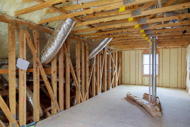 Best Cellulose Insulation in Wekiwa Springs, FL