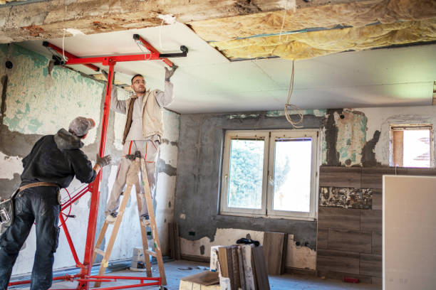 Best Energy Efficiency Insulation in Wekiwa Springs, FL
