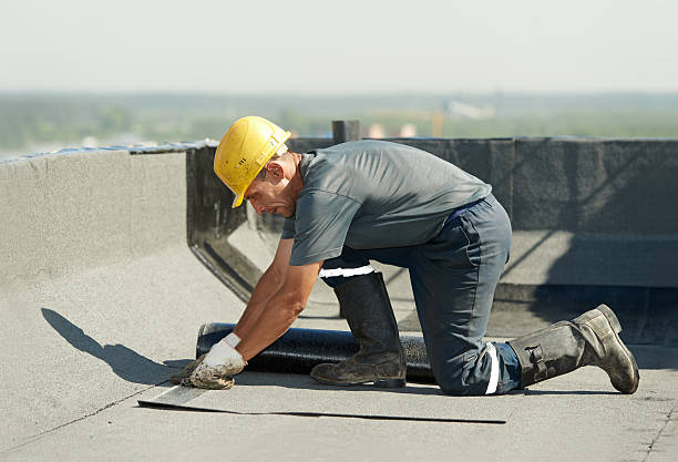 Best DIY Insulation Kits and Guidance in Wekiwa Springs, FL